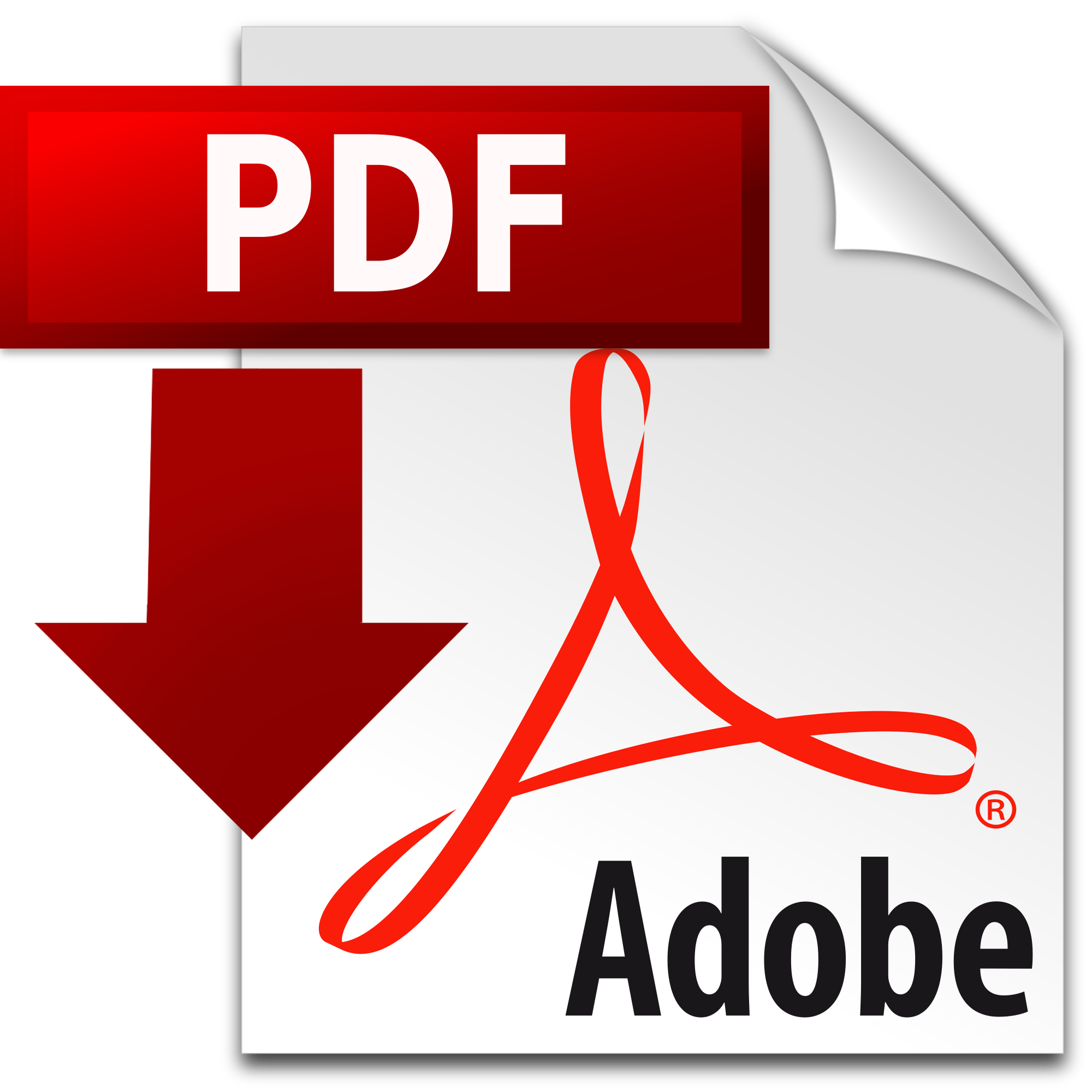 scarica la Call in formato PDF